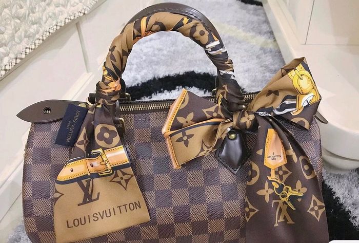 Louis Vuitton Scarf LVS00006